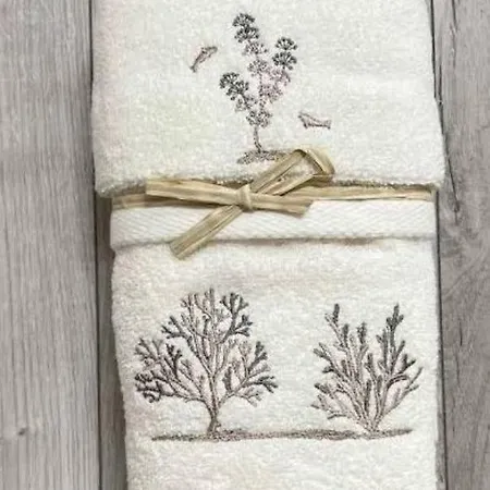 Appartement Elegant, Cozy, Between The Centre And The Seaside